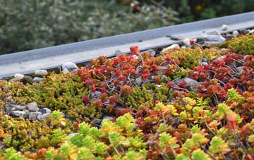 the cost of Brazenhill green roof installation