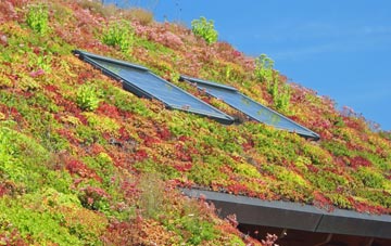 Brazenhill living roof systems